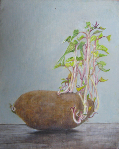 Aardappel (2), olieverf op linnen 30x40 cm